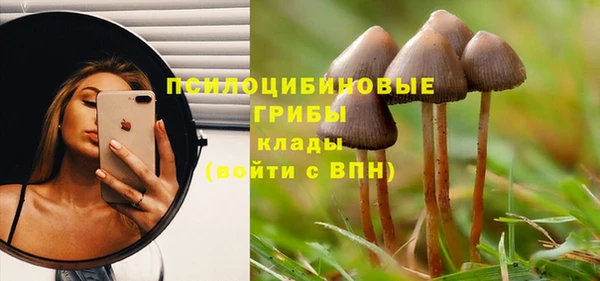 твердый Армянск