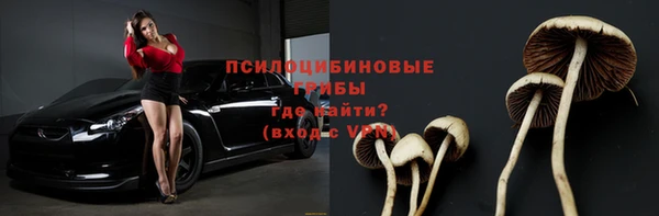 винт Аркадак