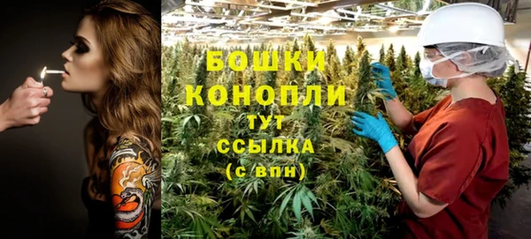 винт Аркадак