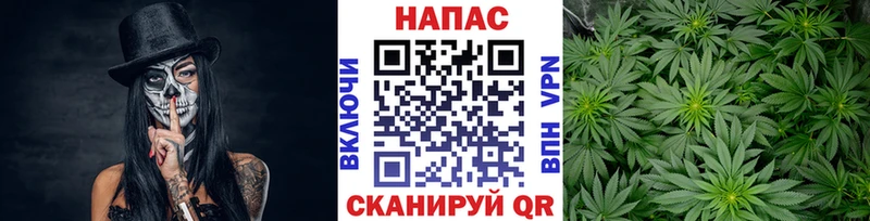 ссылка на мегу маркетплейс  darknet официальный сайт  Бошки Шишки ГИДРОПОН  Аша 